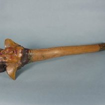 high res digital photo